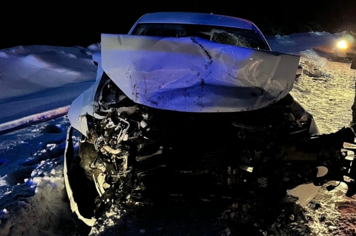    В Пермском крае после ДТП с погибшей 11-летней девочкой арестовали водителя