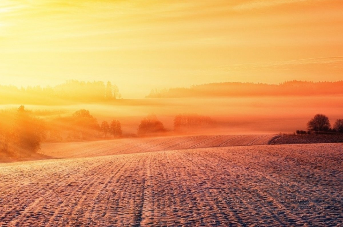    Что происходит с посевами под мощным покровом снега, выяснили в Татарстане