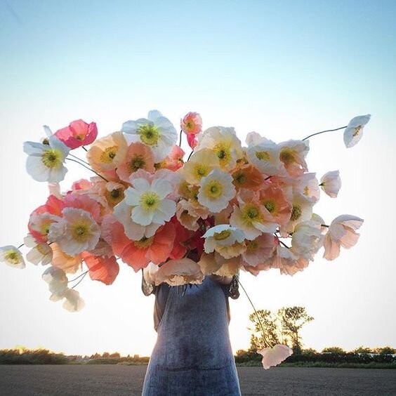 Изображение взято из открытого источника.