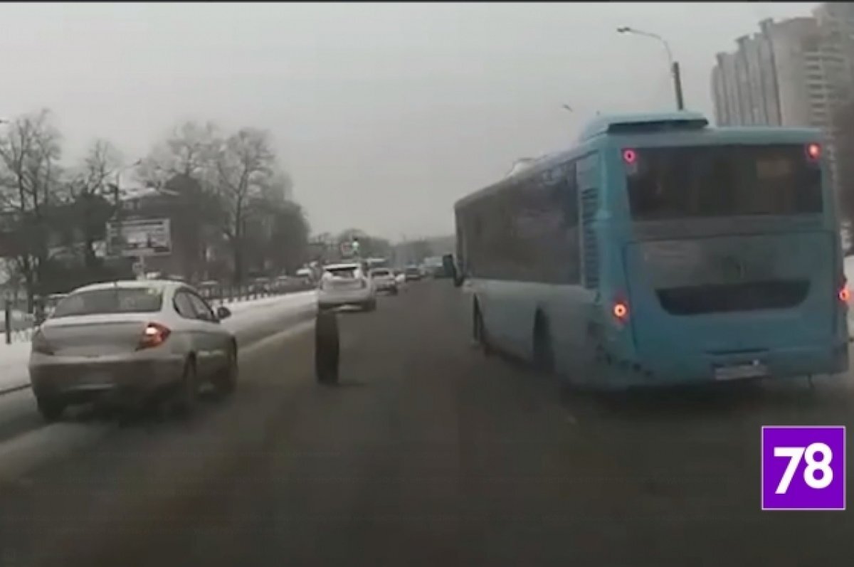    Отлетевшее от автобуса колесо травмировало девушку в Петербурге