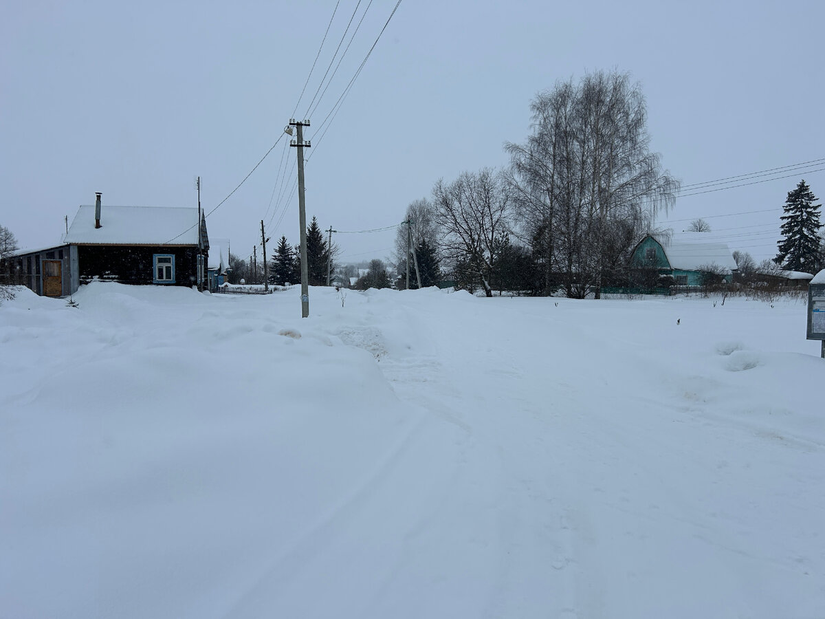 Про александровку