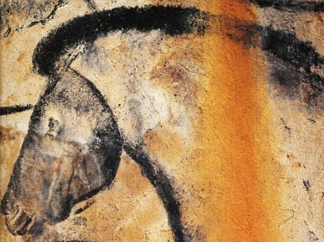 Сотни рисунков, обнаруженных в 1994 году на стенах пещеры Шове (юг Франции) сделаны 32 тысячи лет назад. Фото фрагмента с ресурсов Яндекс.