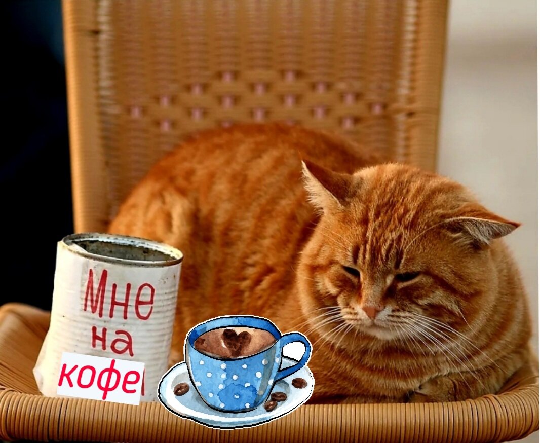 Коллаж автора