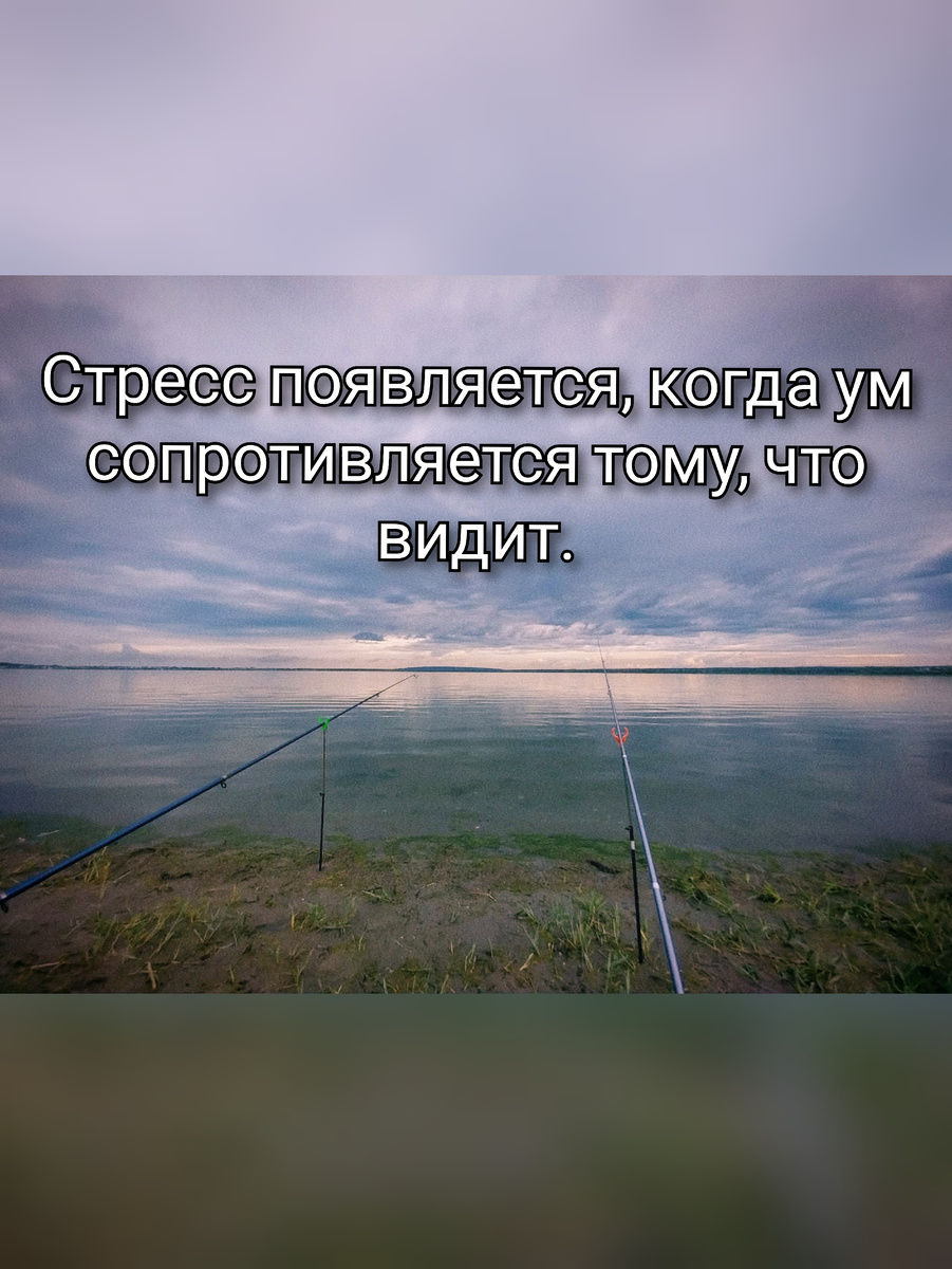 Картинка от автора