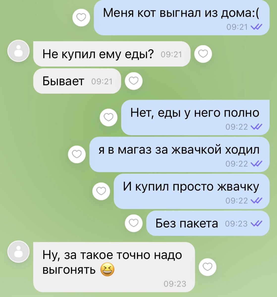 7 переписок, из которых видно – кошек уже столько, что надо бы еще побольше  | Кошка.ru | Дзен