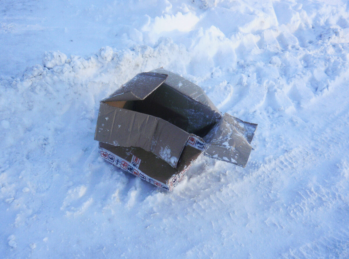 Фото из открытых источников