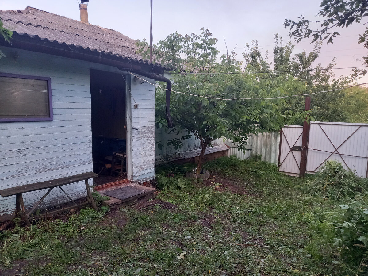 своё фото