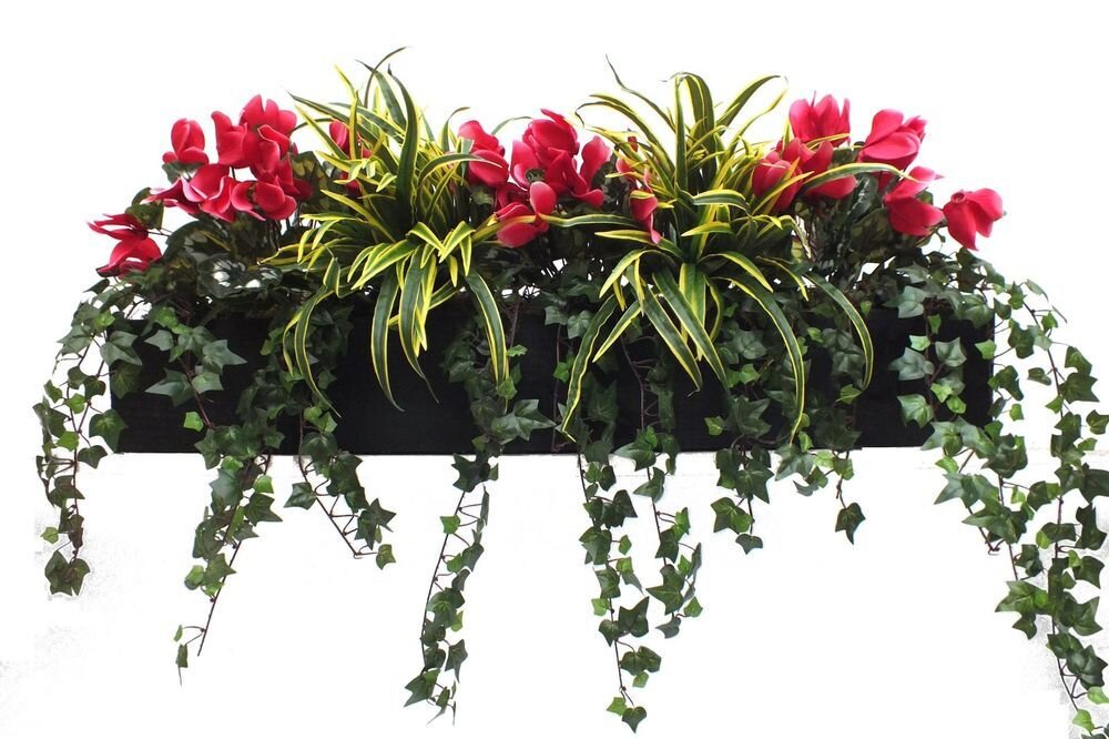 Изображение взято из свободного источника