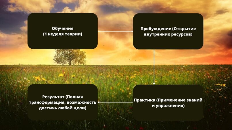 Общая схема методики