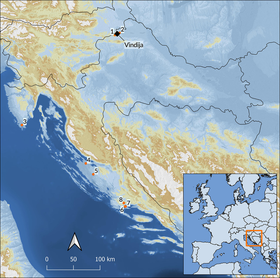   Ivor Karavanić et al. / Antiquity, 2024