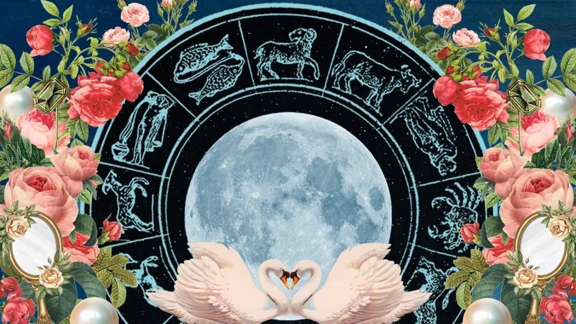 Полная луна в обрамлении знаков зодиака и букета цветов. Внизу два лебедя смотрят друг на друга. (Фото: iStock/Getty Images; искусство: CBC Life)