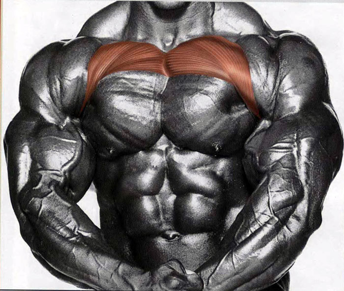 Источник фотографии: Яндекс картинки 
