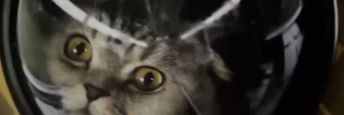 игра про организм человека. игра клетки. тело человека для дошкольников. Surgeon simulator 2013. игры внутри человека.