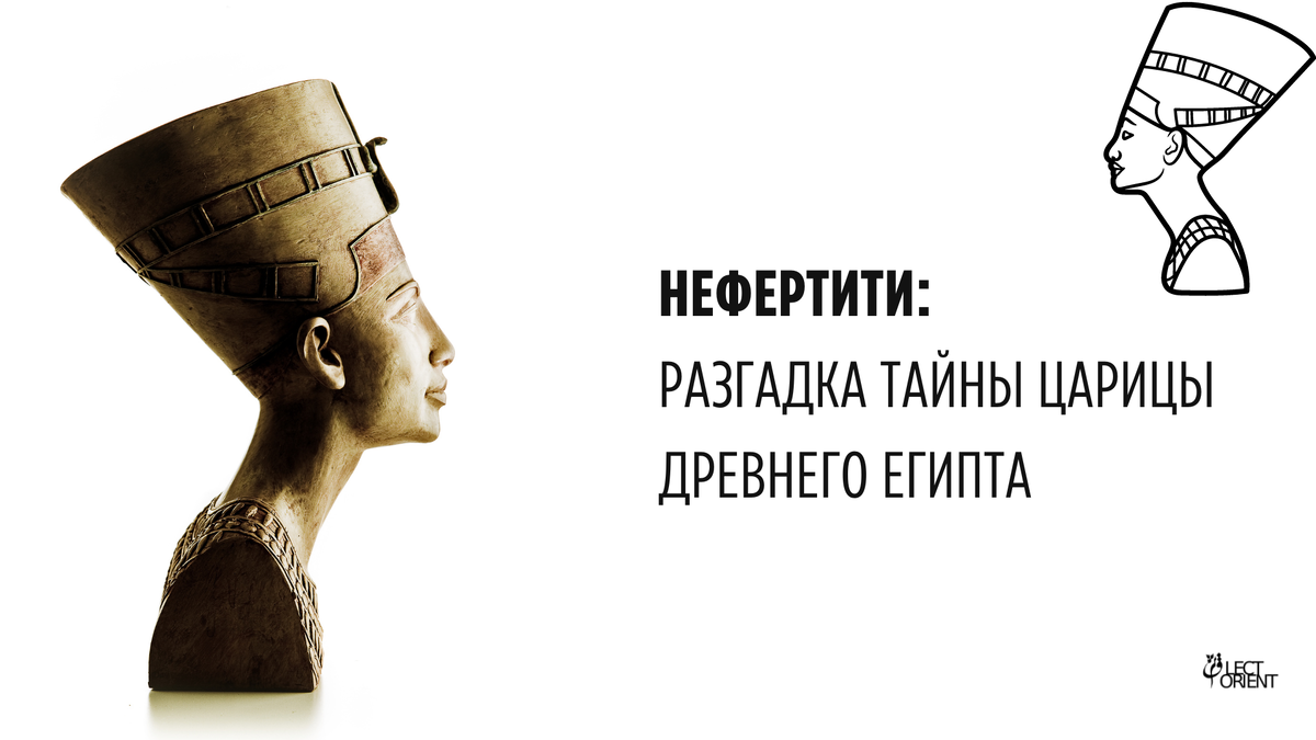 Фото взято из открытого фотостока Canva