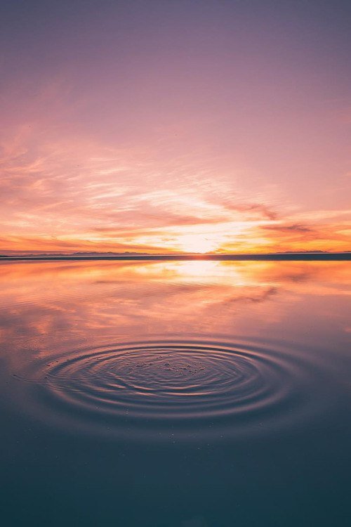 Умиротворение.