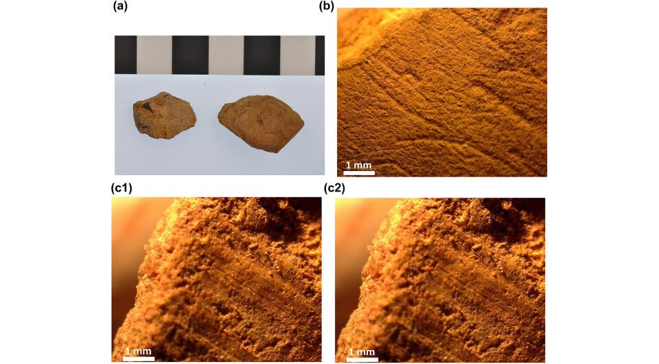   Timothy Owen et al. / Archaeology in Oceania, 2024