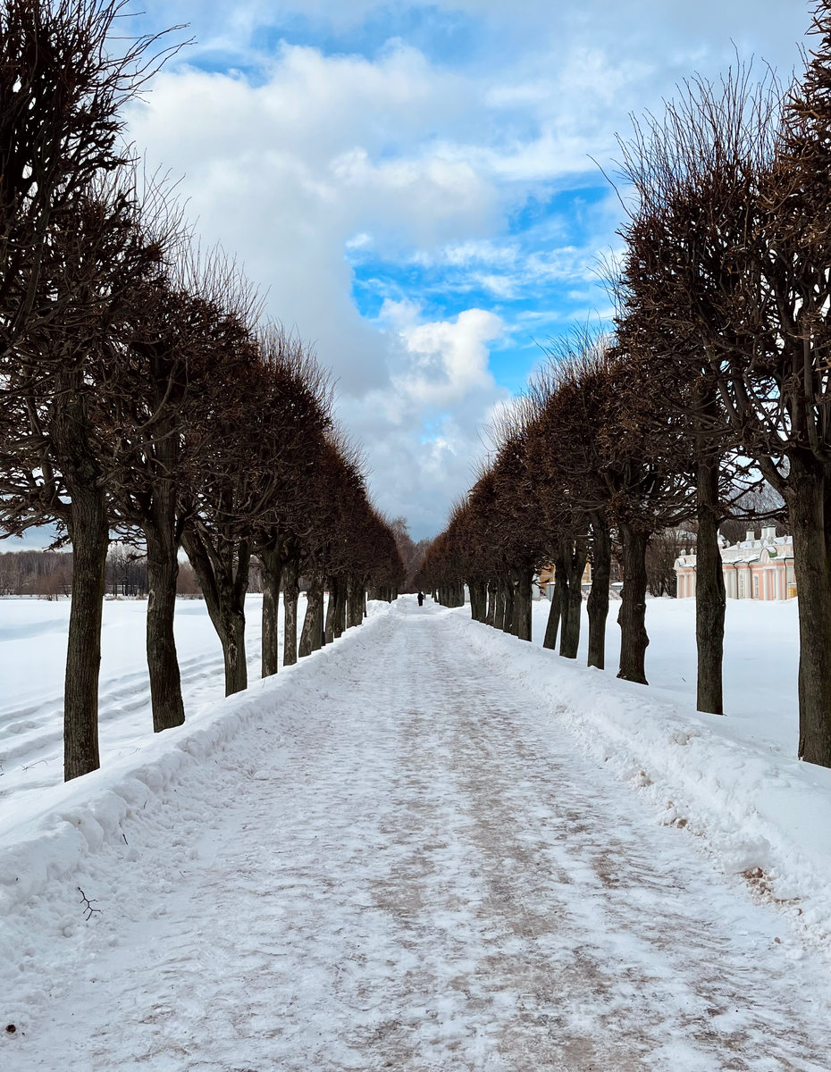 К сожалению, не летние аллеи Кусково