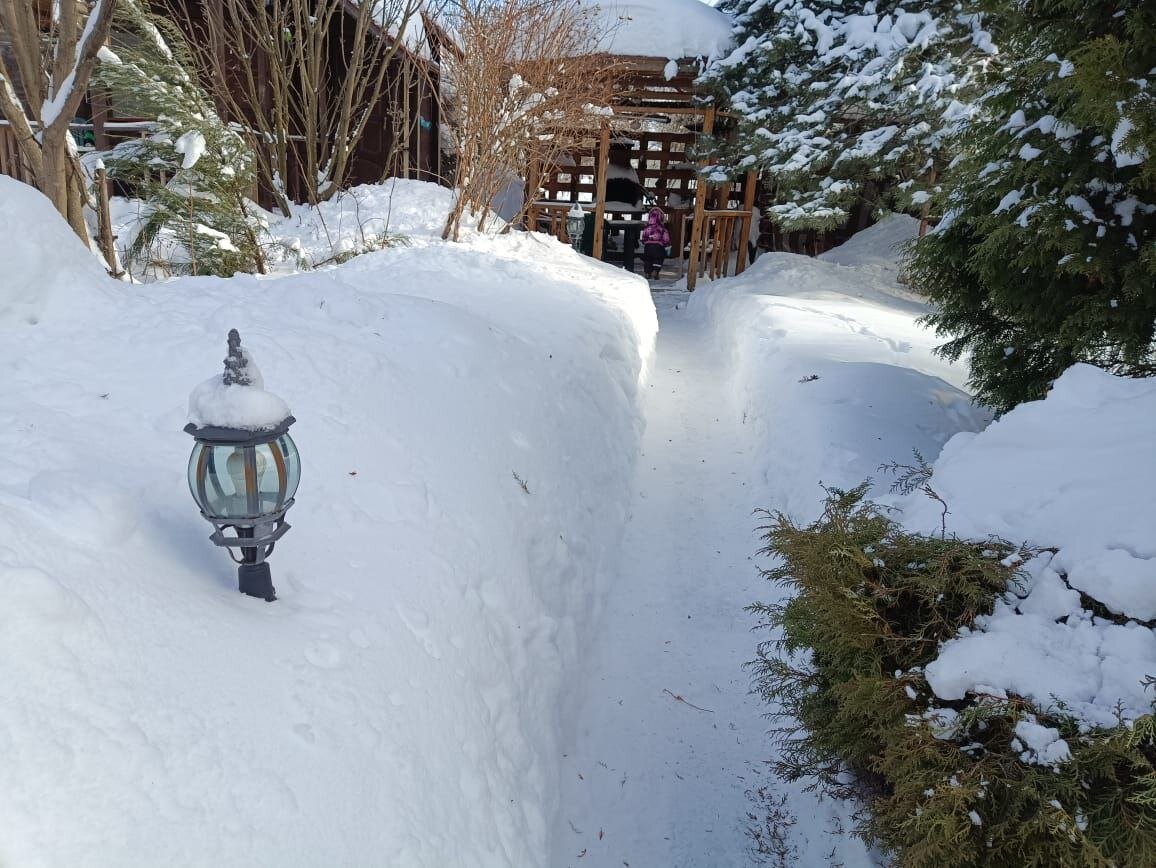 Сколько снега на даче. 17 февраля 2024 г.