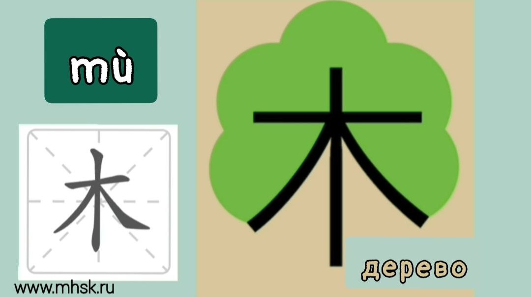 КЛЮЧ 75 木 mù ДЕРЕВО