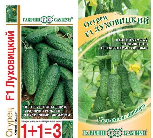 Огурцы завалят урожаем если посадите эти сорта