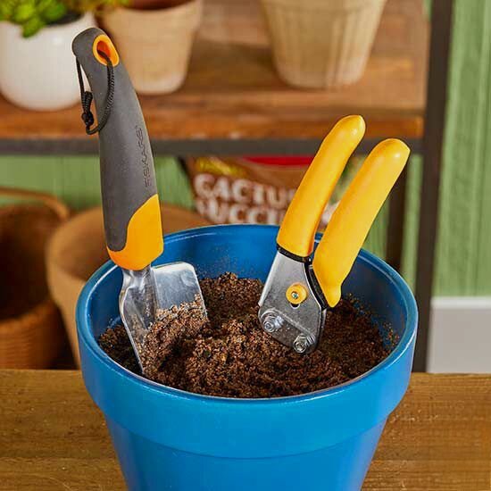 Источник фото https://ru.pinterest.com/pin/56295064076625191/