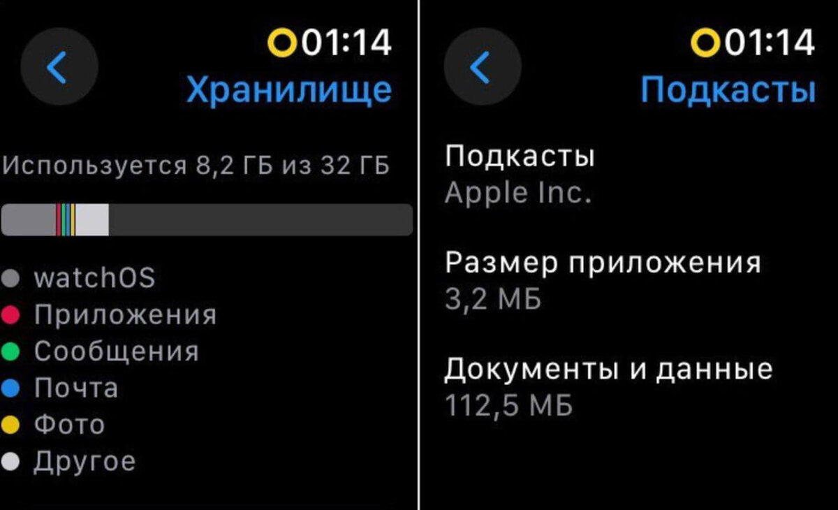     Просмотрите, какие приложения больше всего расходуют память Apple Watch