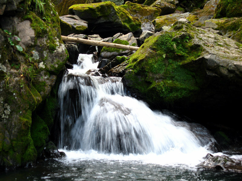 Из Телецкого озера вытекает только река Бия, а впадают в него примерно 80 рек. Устья многих из них образуют водопады. Фото: Анатолий Б. / Яндекс Карты