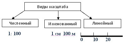 Заполните таблицу виды масштаба