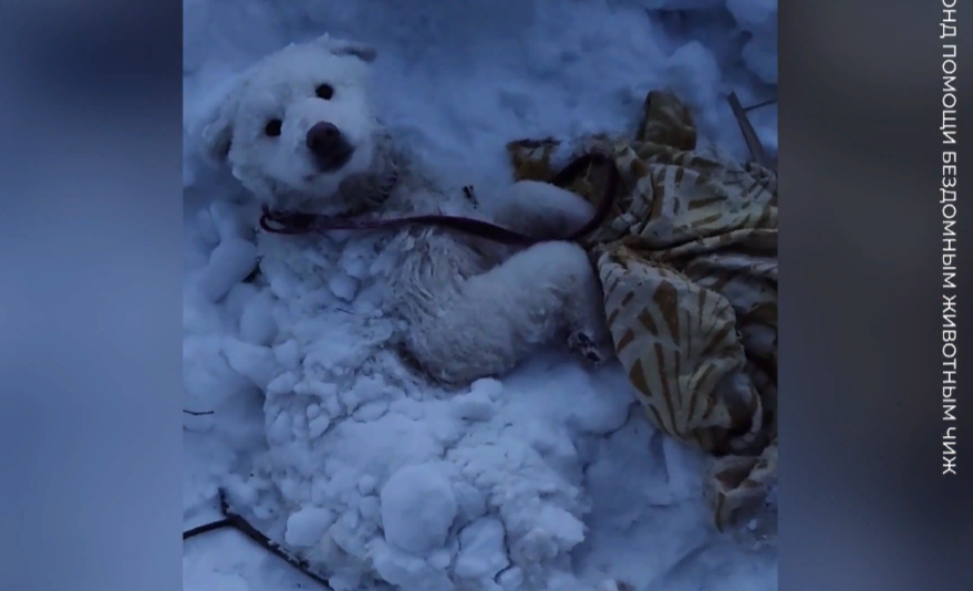 Фото: скриншот соцсети