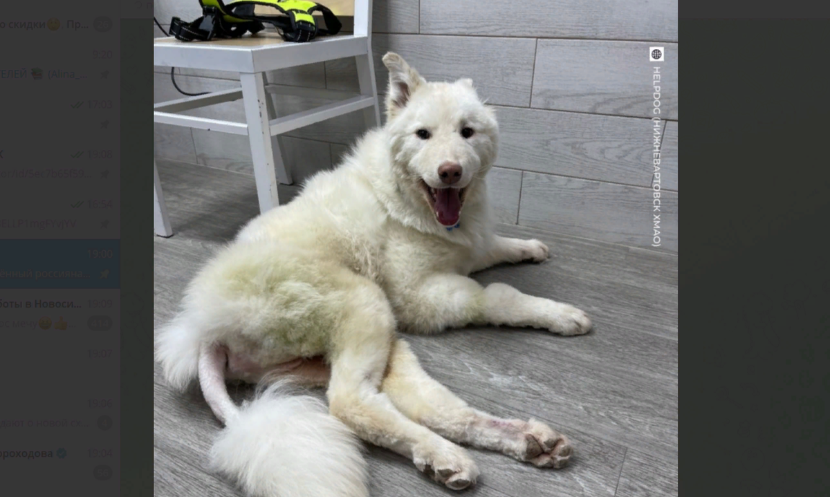 фото: скриншот соцсети