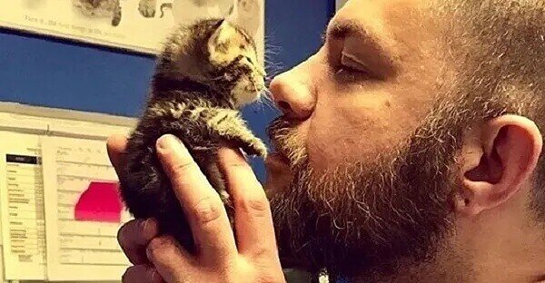 Картинка из свободного доступа