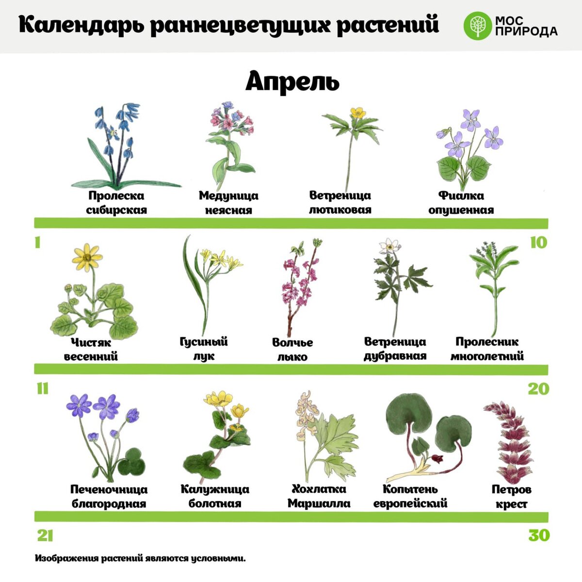 Обострение аллергии. Можно ли к нему подготовиться и пережить легко? |  Система молодости Ольги Малаховой | Дзен