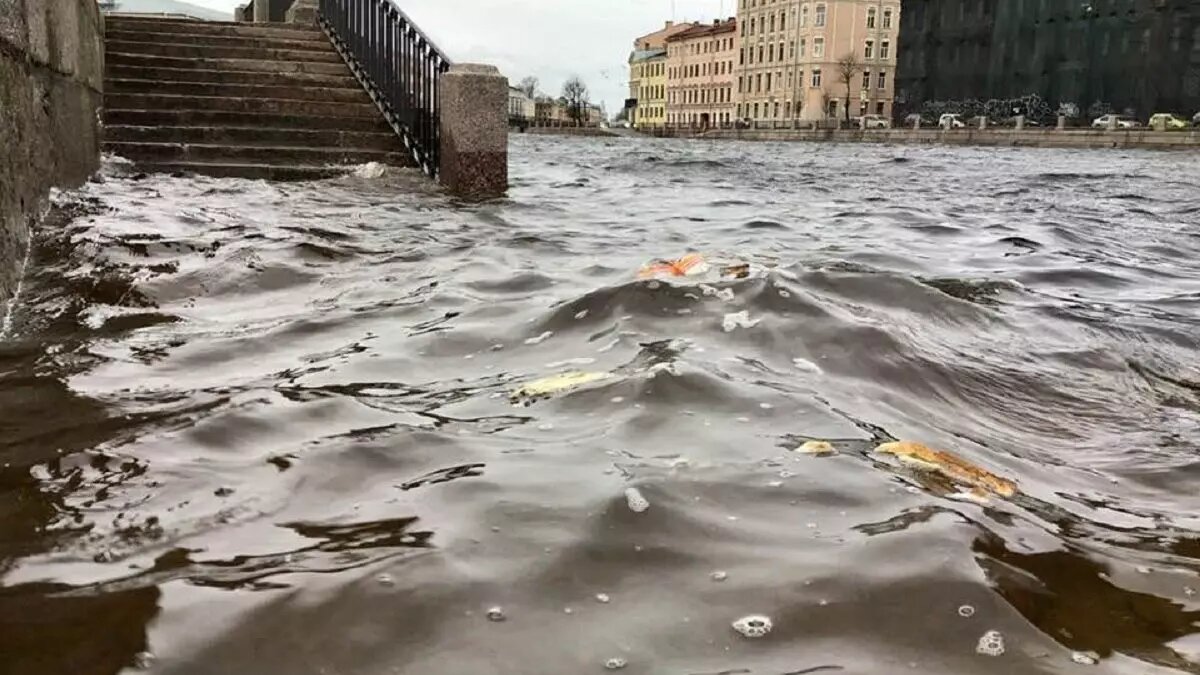 Нагонная волна в Неве в результате циклона поднялась на метр. Фото: tvspb.ru