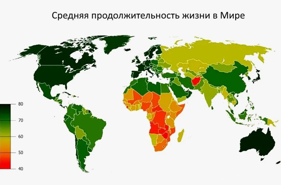 Почему в одних странах намного больше женщин, а в других — мужчин? Где  справедливость? | Путешествия, туризм, наука | Дзен