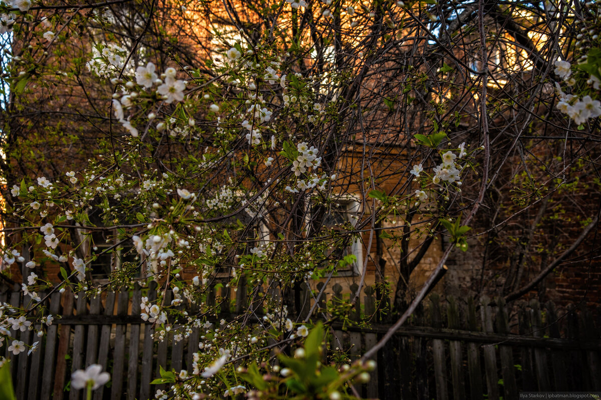 5 42. 3. 5 42. 2+2*2. 5 42.