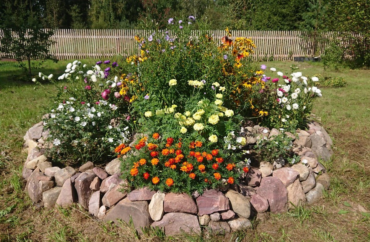 Прошлогодний зксперимент с растениями, не очень удачный.
