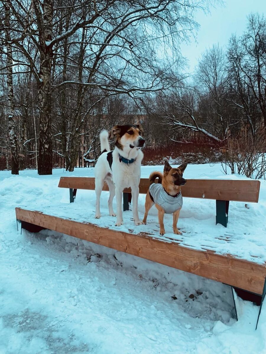Капа с приятелем