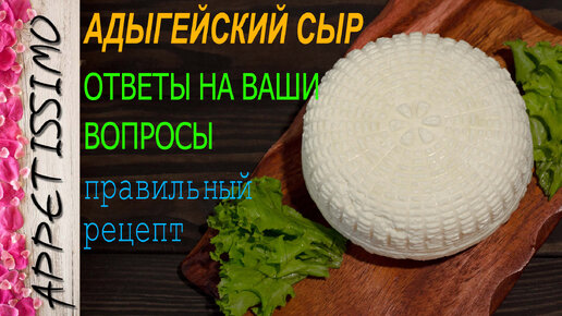 Простые рецепты адыгейского сыра в домашних условиях