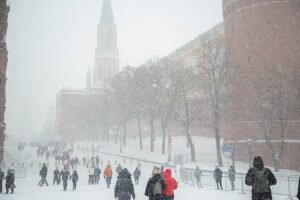 Штормовое предупреждение в москве. Желтый уровень опасности усиление ветра. Штормовой ветер в москве. Сильный ветер в москве. Упавшее дерево в городе.