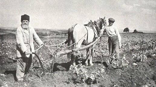 Аграрная реформа . Елена Прудникова