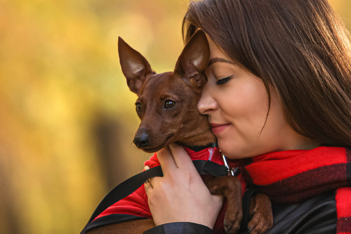 индейцы северной америки приручение волка. кане корсо в древнем риме.