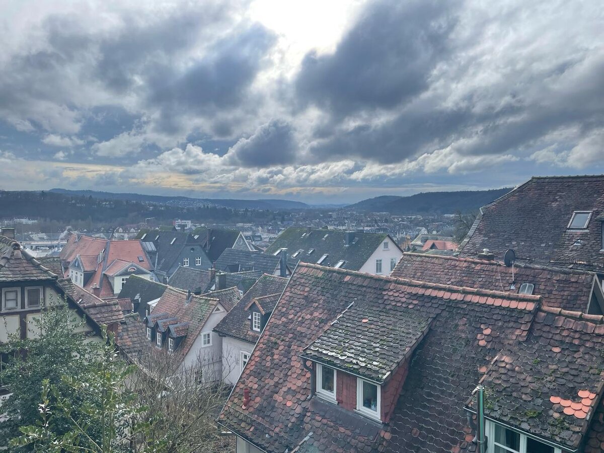 Очень понравился этот вид