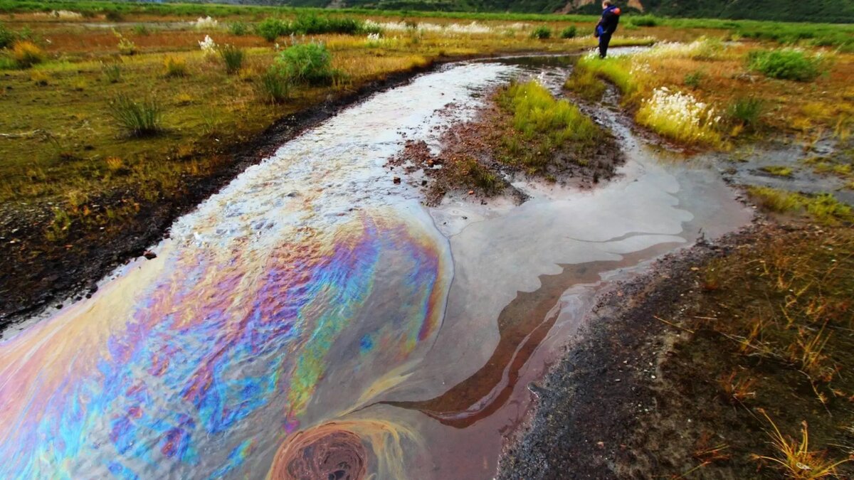     В Ростовской области обнаружили загрязнения почвы и воды Северского Донца сточными водами, об этом сообщили в пресс-службе донского Минприроды.
