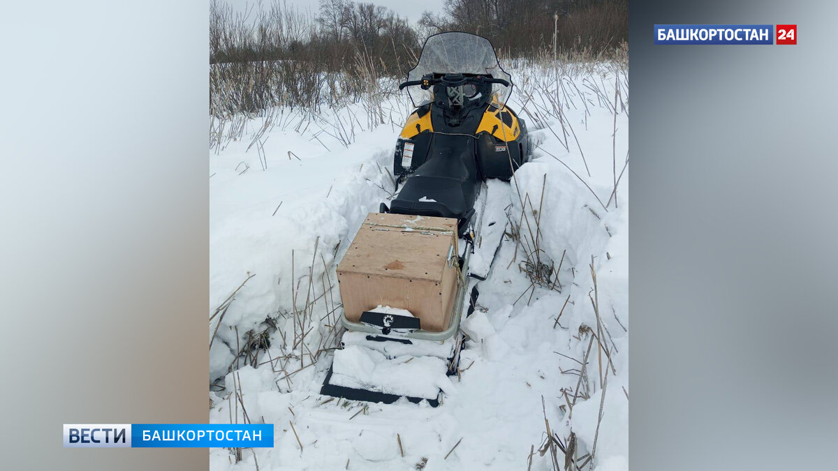    В Дюртюлинском районе Башкирии в лесу мужчина во время катания на снегоходе застрял в снегу