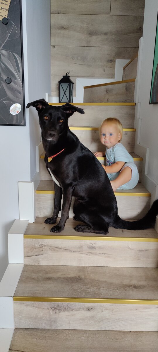 У нас не было выбора в данном вопросе. Собака появилась задолго до ребенка. Поэтому Перл приходится мириться со всеми возрастными особенностями сына.