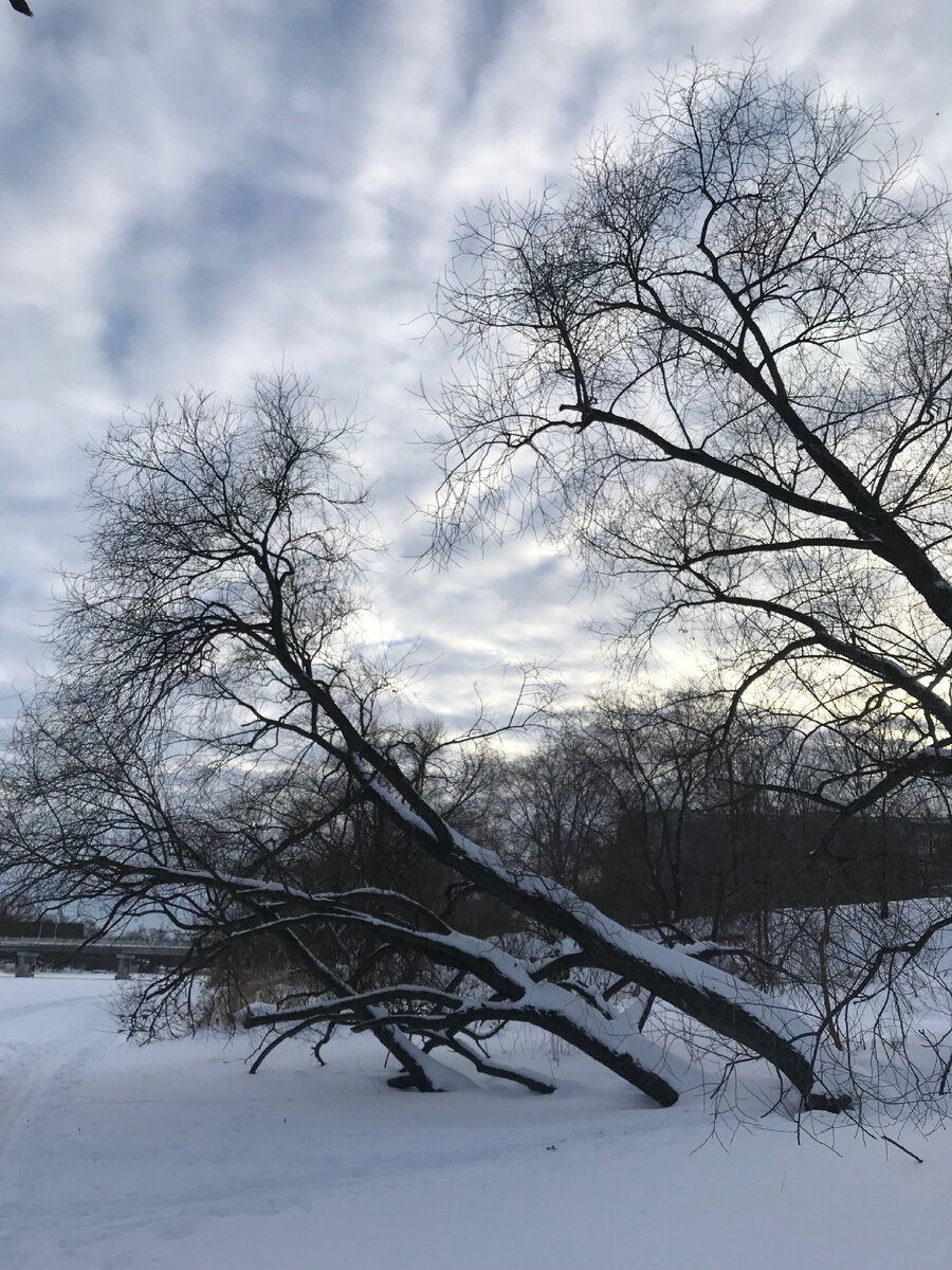 Все фото Автора канала.