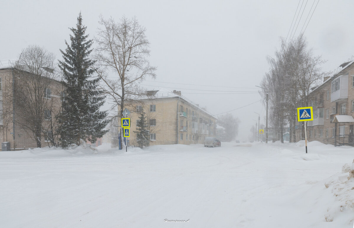 одуванчик летит. любовь и разлука. дуновение ветра. люблю сильнее ветра. люблю сильнее ветра.