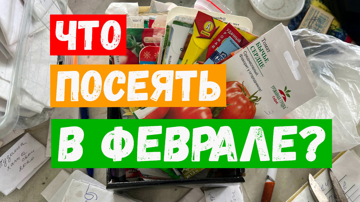Что посеять в феврале?