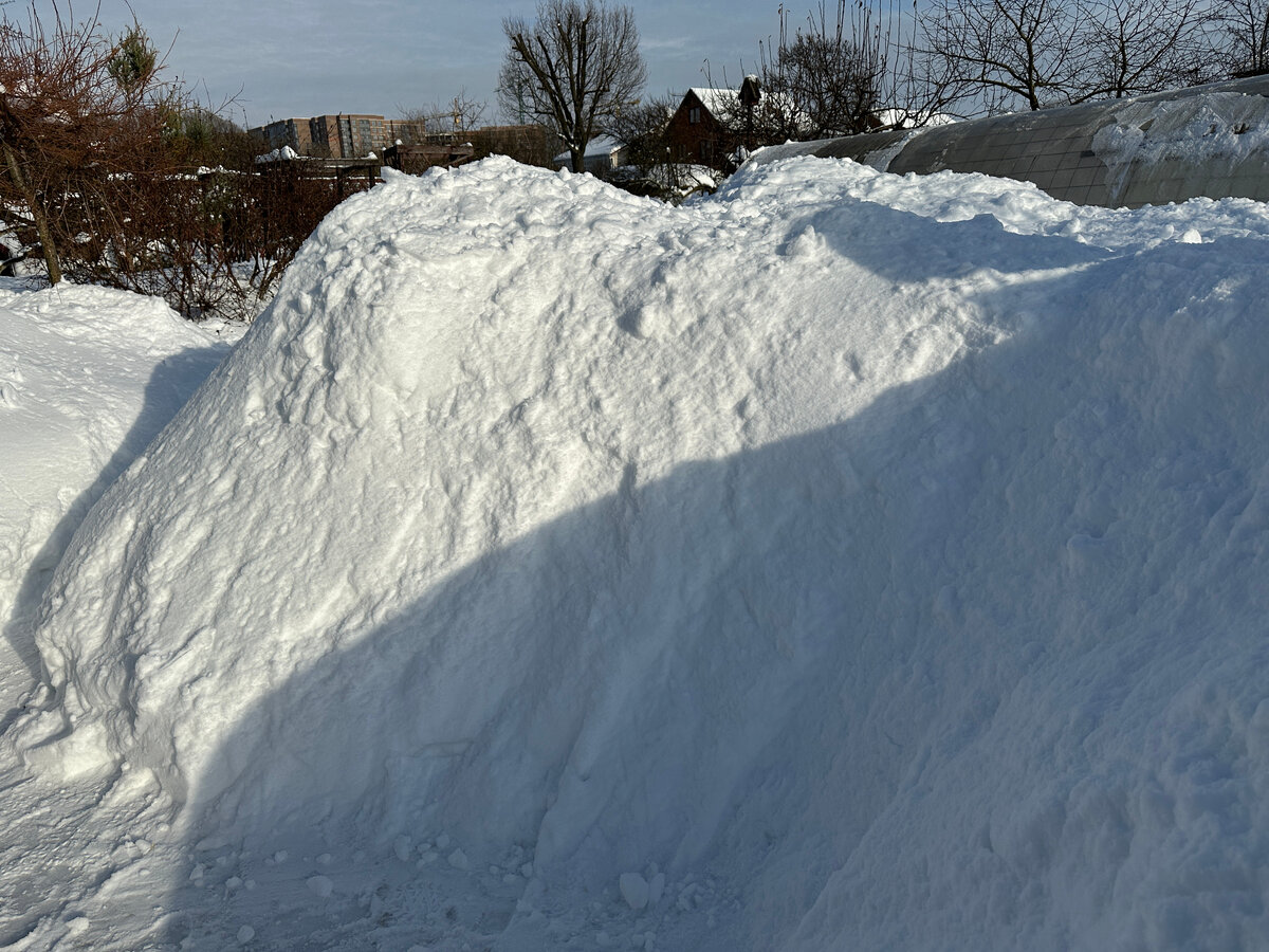 Давно у нас на участке не было подобных сугробов.