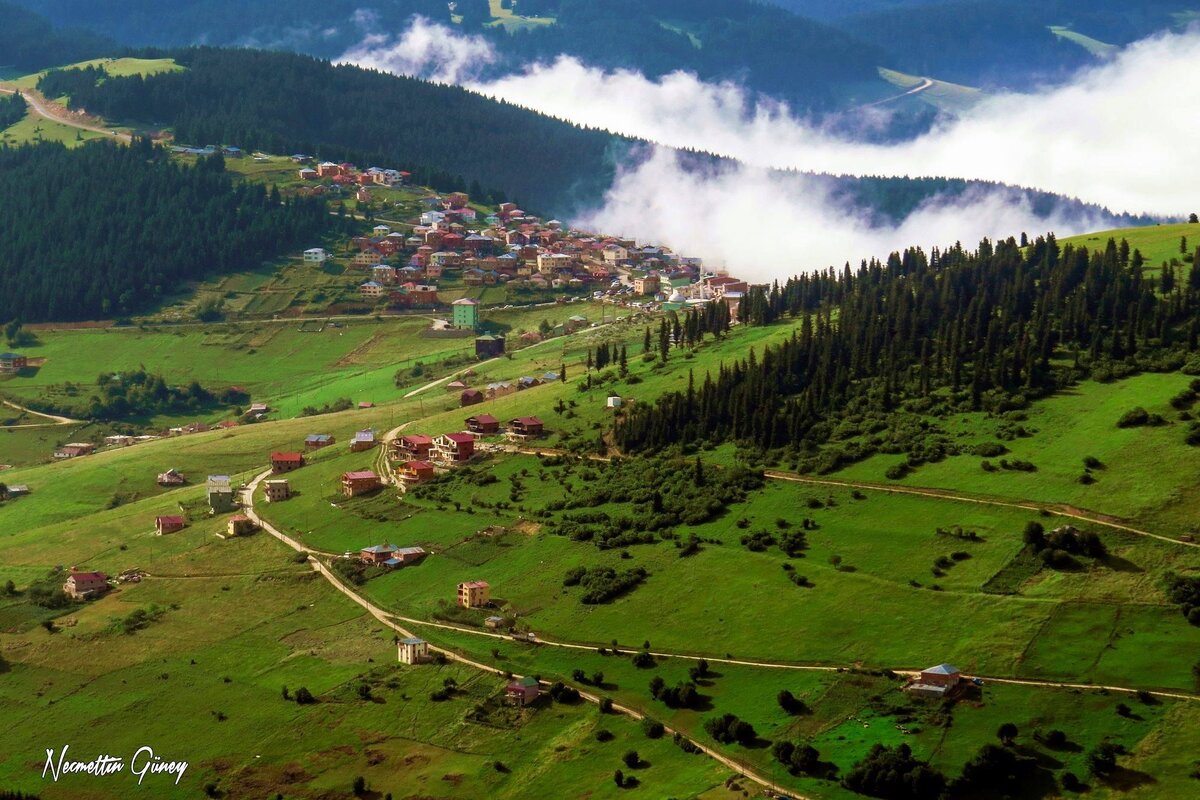 Яндекс картинки. Фото из открытых источников 